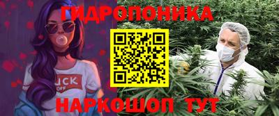 mdpv Бийск