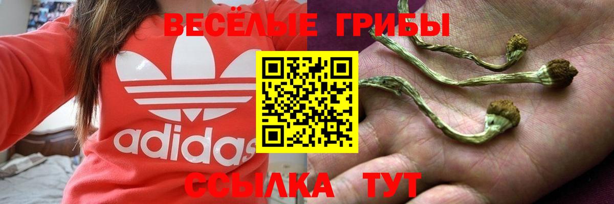Псилоцибиновые грибы мухоморы Камышин